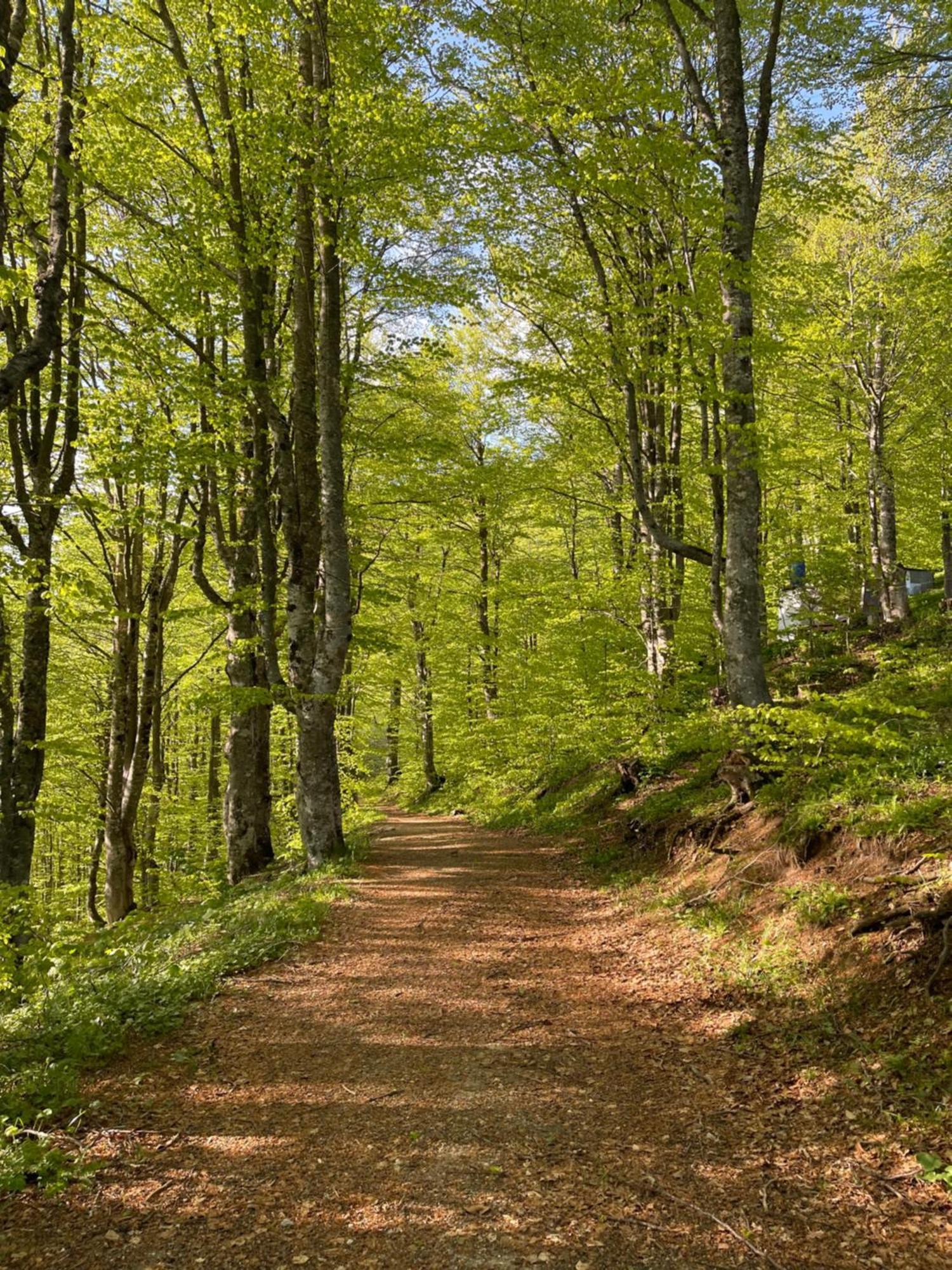 Honey Valley Bjelasnica Bed and Breakfast Esterno foto
